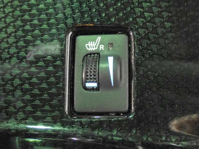 トヨタ マークＸ ２．５ ２５０ＲＤＳ H29年 (近畿) 99