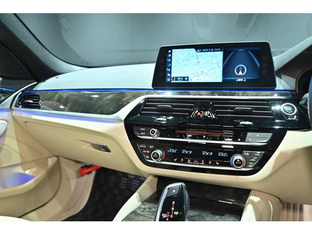 ＢＭＷ ５シリーズ ５４０Ｉ Ｘドライブ Ｍスポーツ ４ＷＤ H29年 (関東) 99