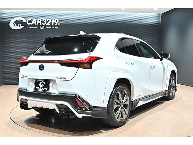 レクサス ＵＸ２５０ｈ Ｆスポーツ R3年 (関東) 99