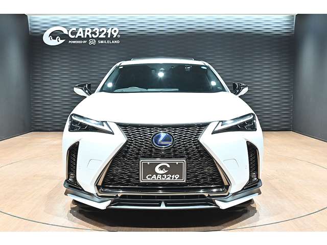 レクサス ＵＸ２５０ｈ Ｆスポーツ R3年 (関東) 99