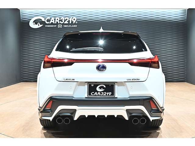 レクサス ＵＸ２５０ｈ Ｆスポーツ R3年 (関東) 99