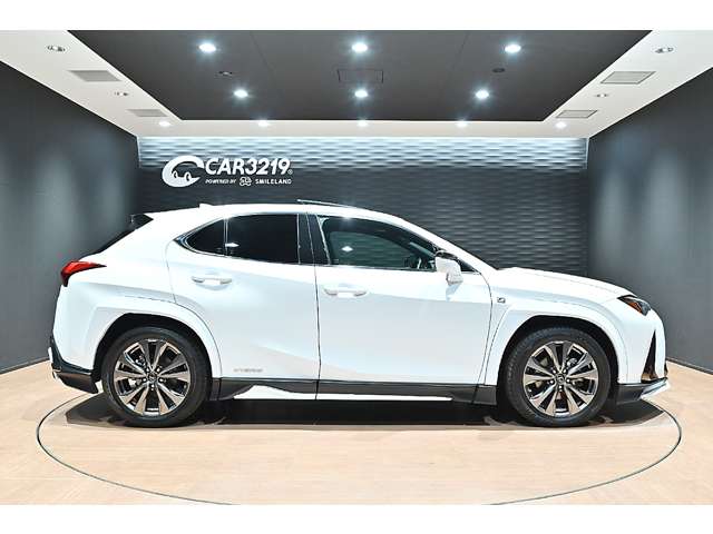 レクサス ＵＸ２５０ｈ Ｆスポーツ R3年 (関東) 99