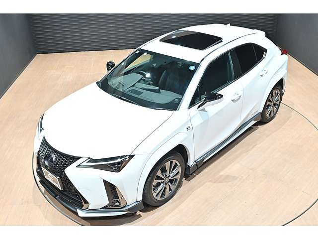 レクサス ＵＸ２５０ｈ Ｆスポーツ R3年 (関東) 99
