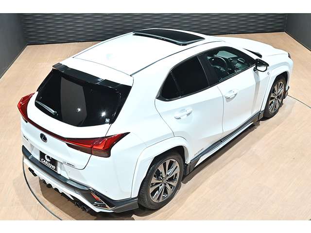 レクサス ＵＸ２５０ｈ Ｆスポーツ R3年 (関東) 99