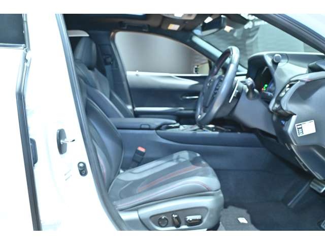 レクサス ＵＸ２５０ｈ Ｆスポーツ R3年 (関東) 99