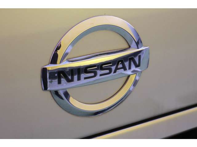 日産 アトラス ３．０ フルスーパーロー ディーゼルターボ R4年 (関東) 99