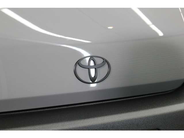 トヨタ ライトエーストラック １．８ ＤＸ スーパーシングルジャストロー スチールデッキ 一方開 H16年 (関東) 99