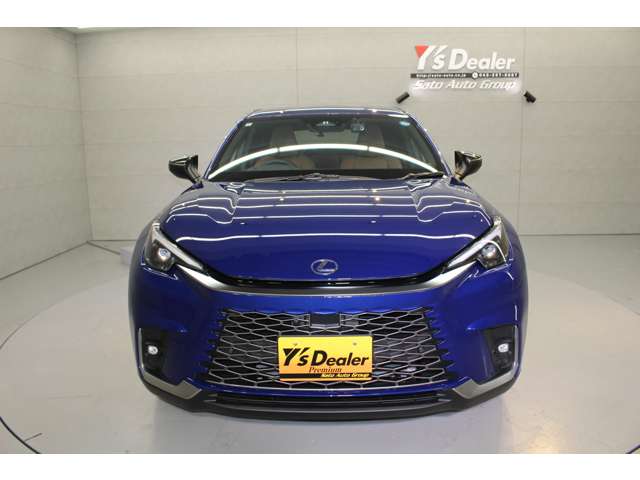 レクサス ＬＢＸ リラックス Ｅ－ＦＯＵＲ ４ＷＤ R6年 (関東) 99