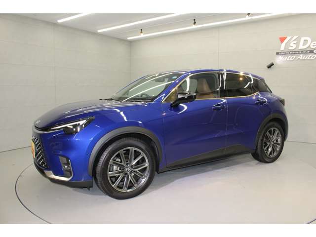 レクサス ＬＢＸ リラックス Ｅ－ＦＯＵＲ ４ＷＤ R6年 (関東) 99