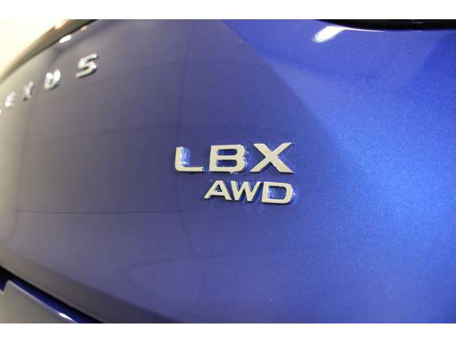 レクサス ＬＢＸ リラックス Ｅ－ＦＯＵＲ ４ＷＤ R6年 (関東) 99