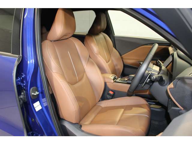 レクサス ＬＢＸ リラックス Ｅ－ＦＯＵＲ ４ＷＤ R6年 (関東) 99