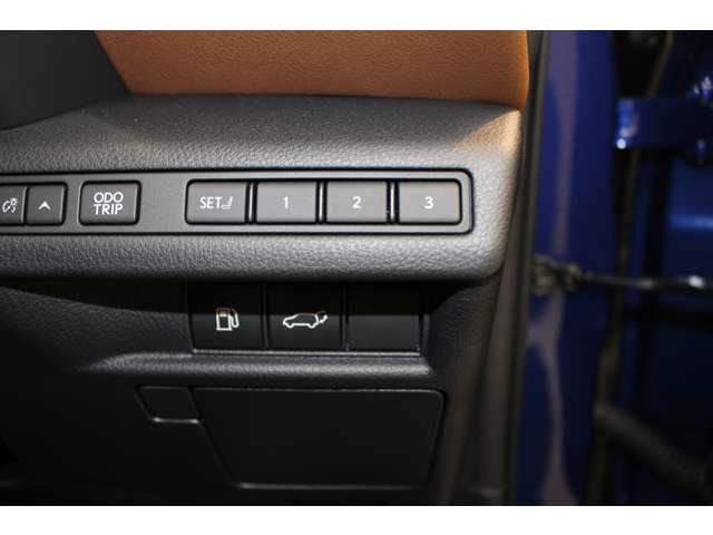 レクサス ＬＢＸ リラックス Ｅ－ＦＯＵＲ ４ＷＤ R6年 (関東) 99