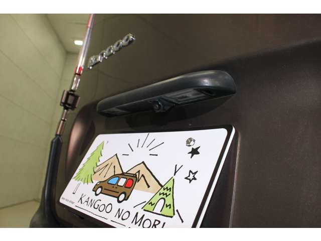 ルノー カングー ゼン ＥＤＣ H30年 (関東) 99