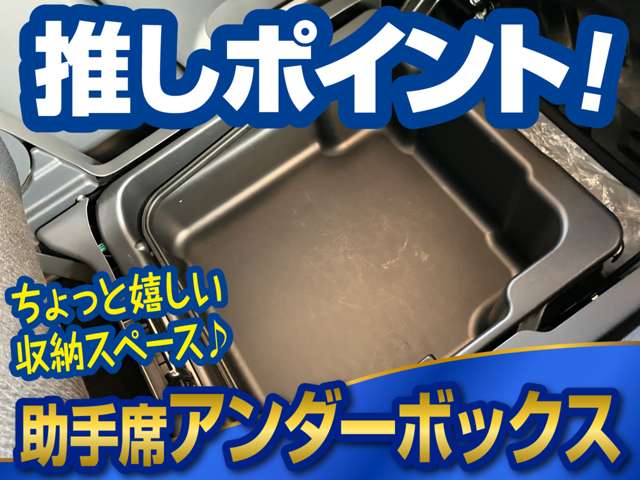 日産 ルークス ６６０ ハイウェイスター H22年 (甲信越・北陸) 99