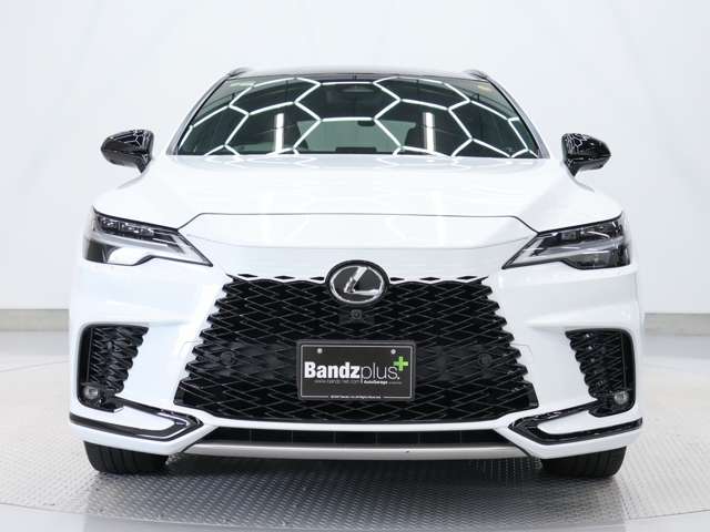 レクサス ＲＸ５００ｈ ５００Ｈ Ｆスポーツ パフォーマンス ４ＷＤ R6年 (東海) 99