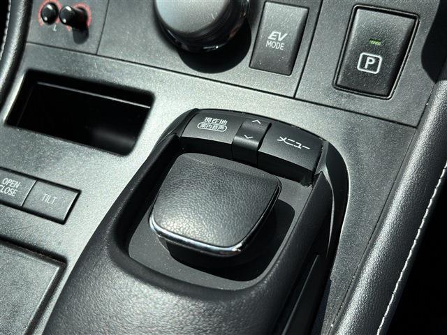 レクサス ＣＴ２００ｈ バージョンＣ H25年 (東海) 99