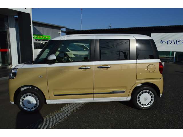 ダイハツ ムーヴ　キャンバス ６６０ ストライプス Ｇ ４ＷＤ R7年 (中国) 99