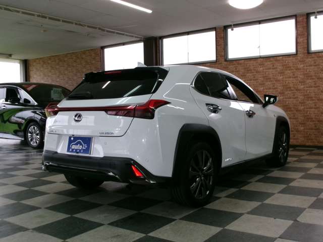 レクサス ＵＸ２５０ｈ Ｆスポーツ R2年 (東北) 99