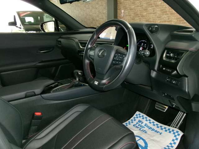 レクサス ＵＸ２５０ｈ Ｆスポーツ R2年 (東北) 99