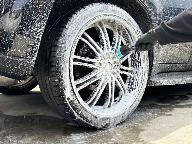 シボレー トレイルブレイザー ＬＴＺ ４ＷＤ H20年 (関東) 99