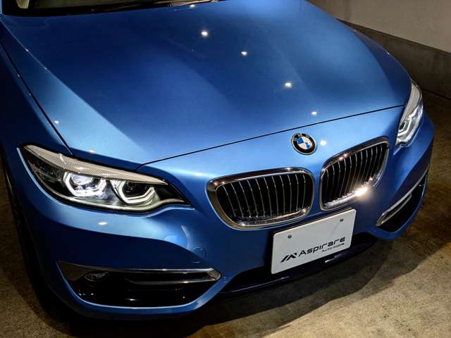 ＢＭＷ ２シリーズ ２２０Ｉ ラグジュアリー H30年 (関東) 99