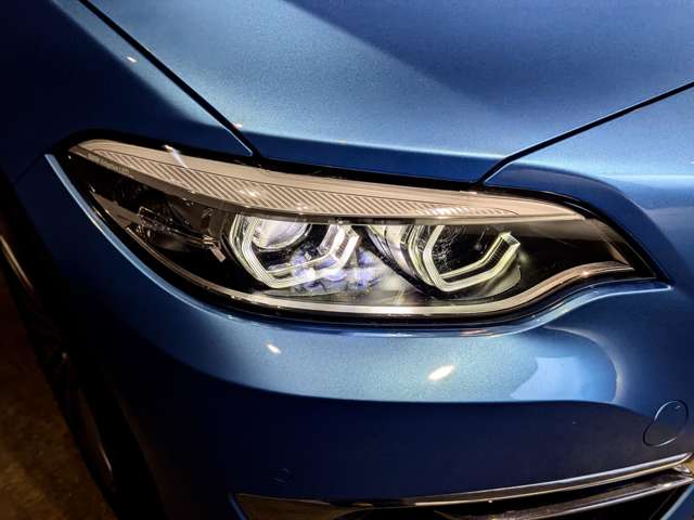 ＢＭＷ ２シリーズ ２２０Ｉ ラグジュアリー H30年 (関東) 99