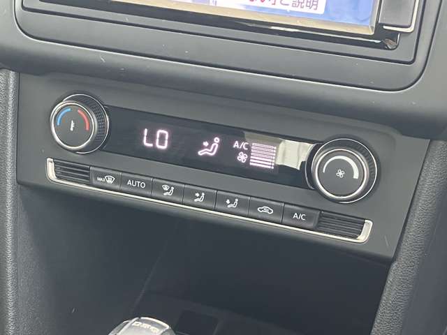 フォルクスワーゲン ポロ ＴＳＩ　コンフォートライン　マイスター H29年 (東海) 99