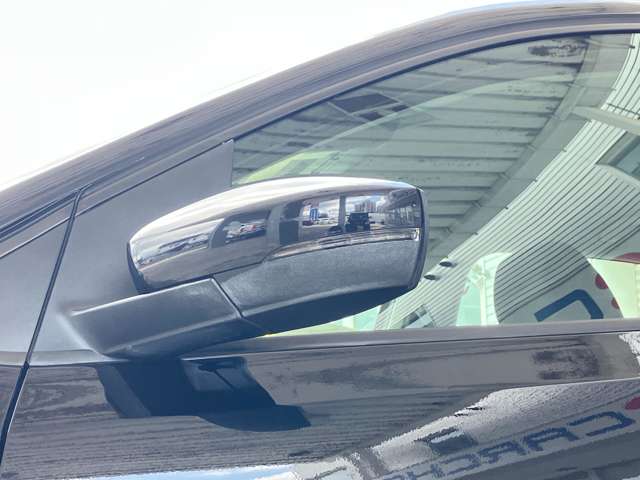フォルクスワーゲン ポロ ＴＳＩ　コンフォートライン　マイスター H29年 (東海) 99