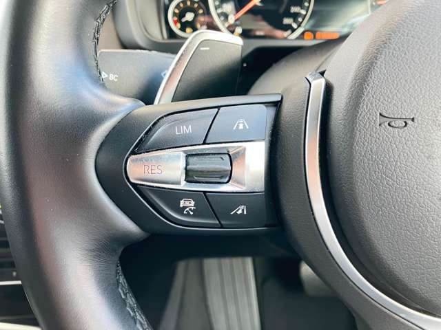 ＢＭＷ Ｘ５ Ｘドライブ ３５Ｄ Ｍスポーツ ４ＷＤ H30年 (東海) 99