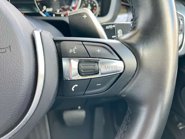 ＢＭＷ Ｘ５ Ｘドライブ ３５Ｄ Ｍスポーツ ４ＷＤ H30年 (東海) 99
