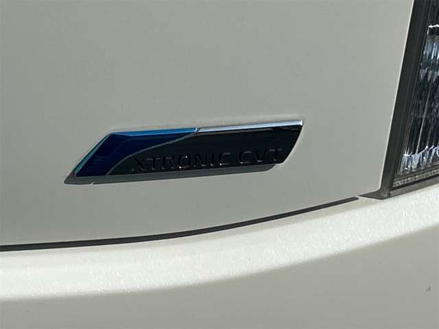 日産 エルグランド ２．５ ２５０ハイウェイスター アーバンクロム H25年 (九州・沖縄) 99