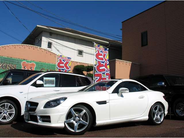 メルセデスベンツ ＳＬＫクラス ＳＬＫ２００ H26年 (甲信越・北陸) 99