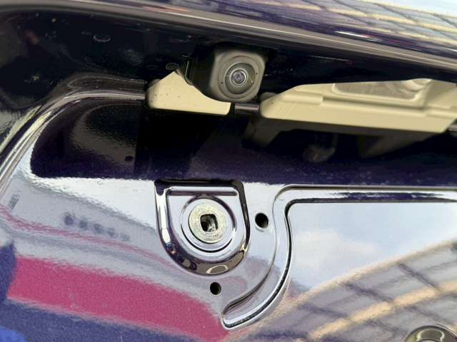 ダイハツ タント ６６０ カスタム ＲＳ リミテッド R7年 (中国) 99