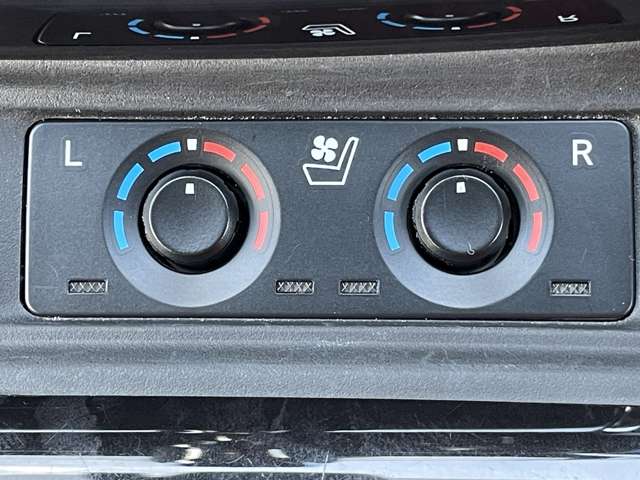 トヨタ アルファード ２．５ Ｓ Ｃパッケージ H30年 (東北) 99