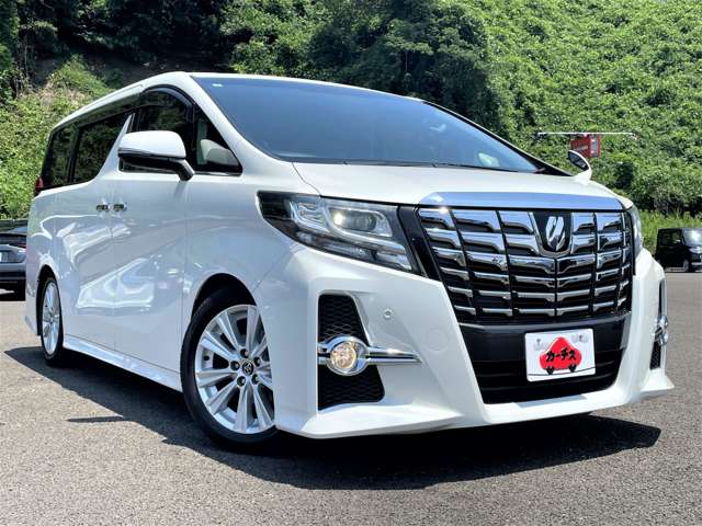 トヨタ アルファード ２．５ Ｓ H29年 (東北) 99