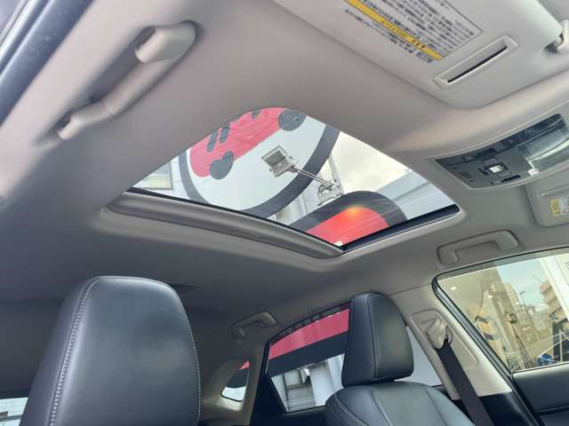 レクサス ＮＸ３００ｈ バージョンＬ H26年 (関東) 99