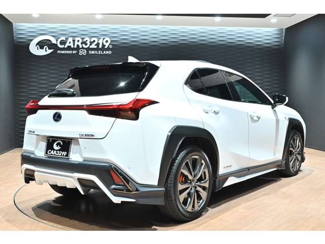 レクサス ＵＸ２５０ｈ Ｆスポーツ R3年 (関東) 99