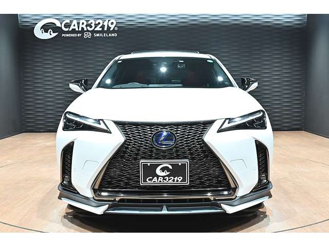 レクサス ＵＸ２５０ｈ Ｆスポーツ R3年 (関東) 99