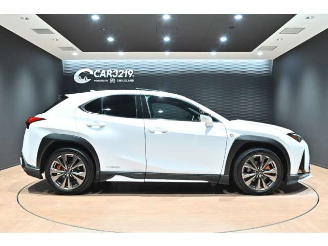 レクサス ＵＸ２５０ｈ Ｆスポーツ R3年 (関東) 99