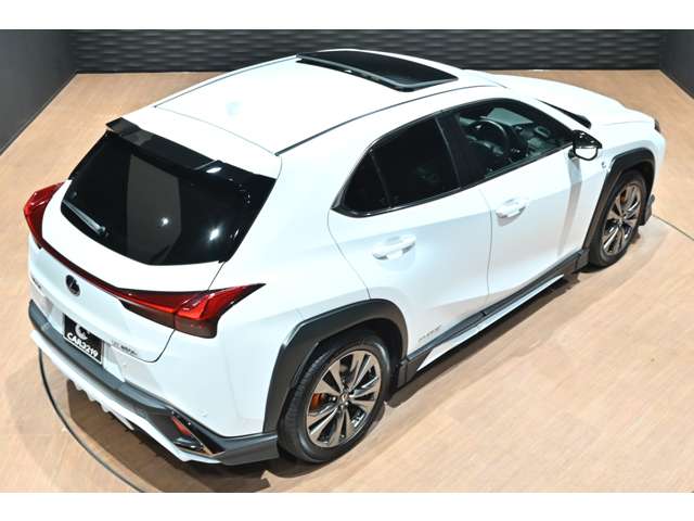 レクサス ＵＸ２５０ｈ Ｆスポーツ R3年 (関東) 99