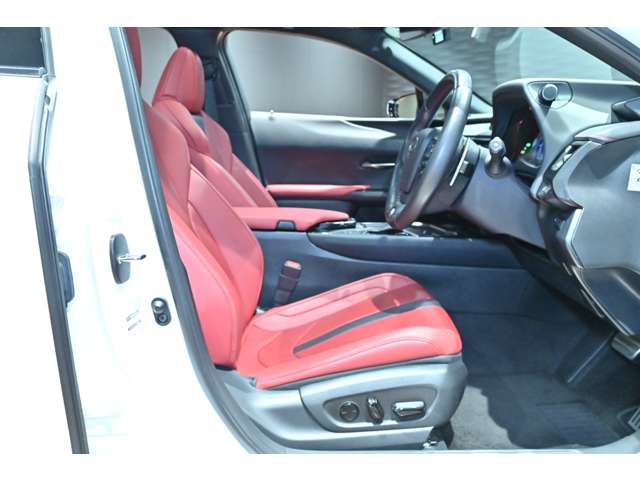 レクサス ＵＸ２５０ｈ Ｆスポーツ R3年 (関東) 99