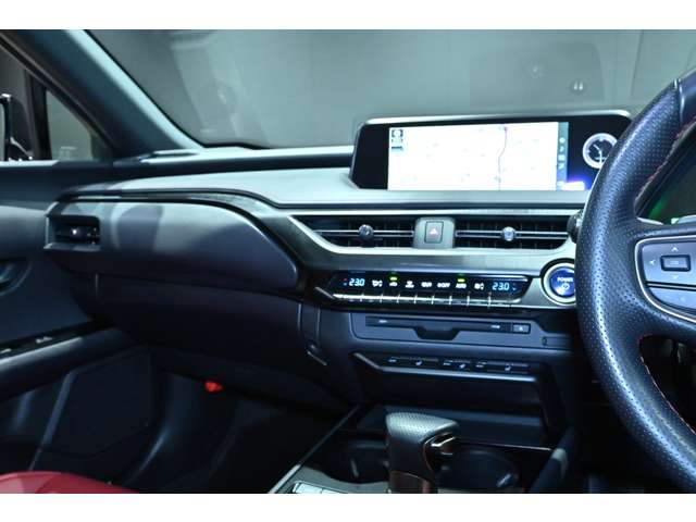 レクサス ＵＸ２５０ｈ Ｆスポーツ R3年 (関東) 99