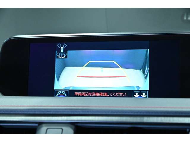 レクサス ＵＸ２５０ｈ Ｆスポーツ R3年 (関東) 99