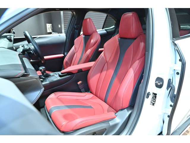 レクサス ＵＸ２５０ｈ Ｆスポーツ R3年 (関東) 99