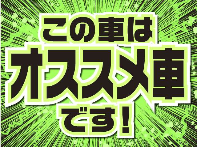 フォルクスワーゲン ポロ アクティブ　ブルーモーションテクノロジー H25年 (東北) 99
