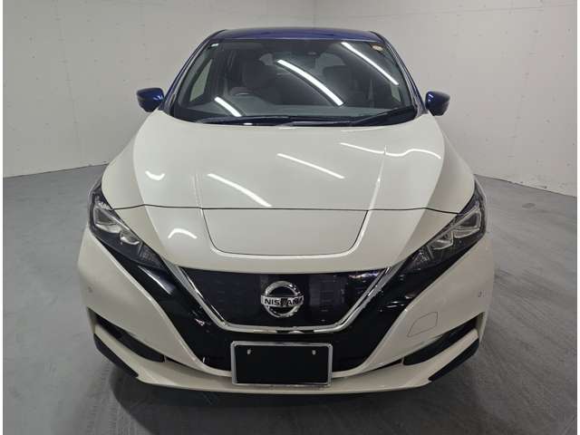 日産 リーフ Ｇ H30年 (近畿) 99