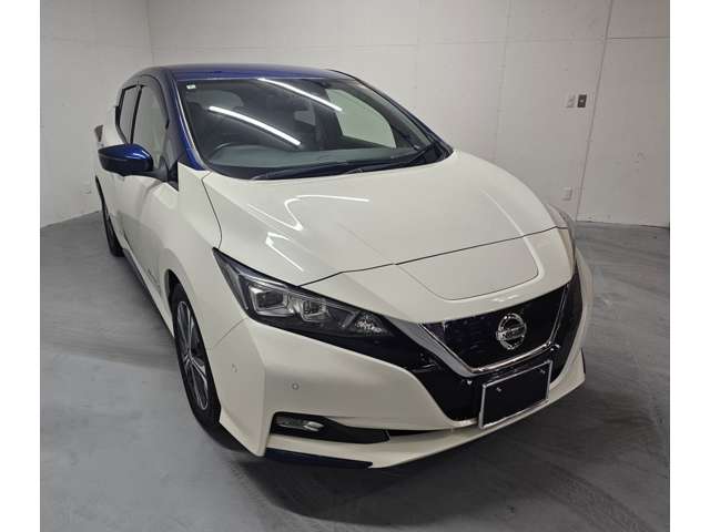 日産 リーフ Ｇ H30年 (近畿) 99