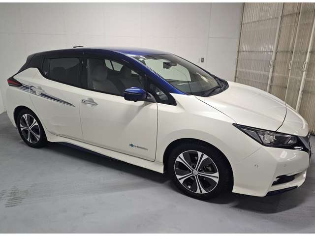 日産 リーフ Ｇ H30年 (近畿) 99
