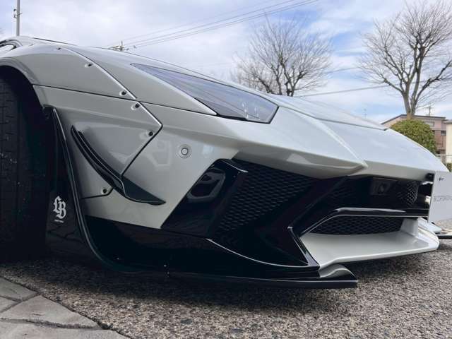 ランボルギーニ アヴェンタドールロードスタ ＬＰ７００－４ ４ＷＤ H27年 (東海) 99