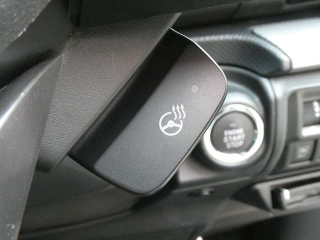 スバル フォレスター　ハイブリッド ２．０ アドバンス ４ＷＤ H30年 (関東) 99